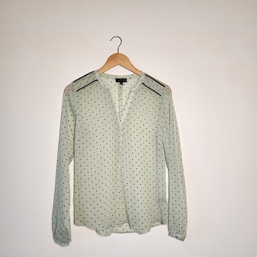 The Limited Mint Green Sheer Polka Dot Blouse Long Sleeve Workwear Women's Small